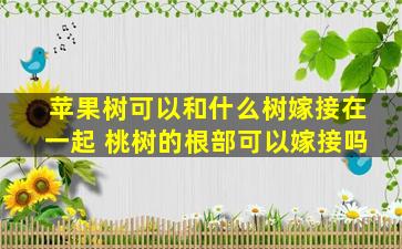 苹果树可以和什么树嫁接在一起 桃树的根部可以嫁接吗